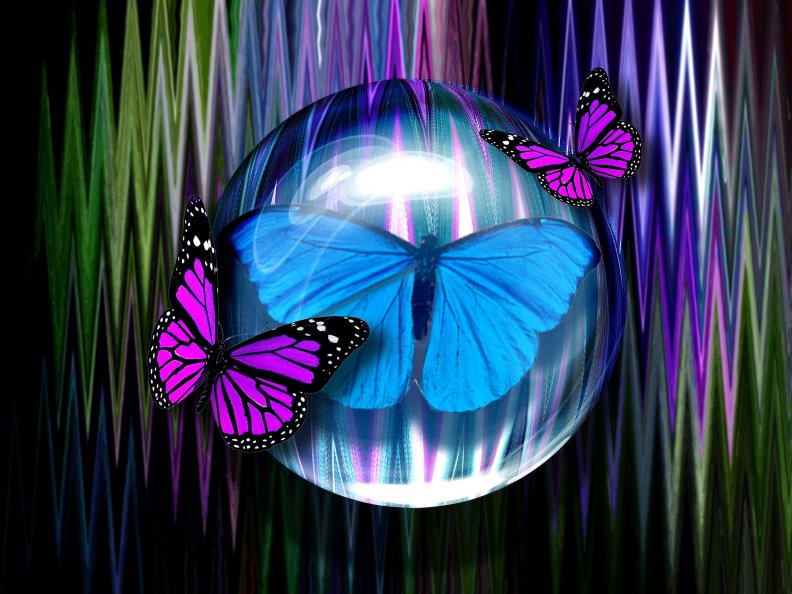 Designs of Butterflies