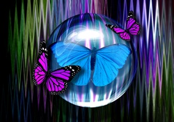 Designs of Butterflies