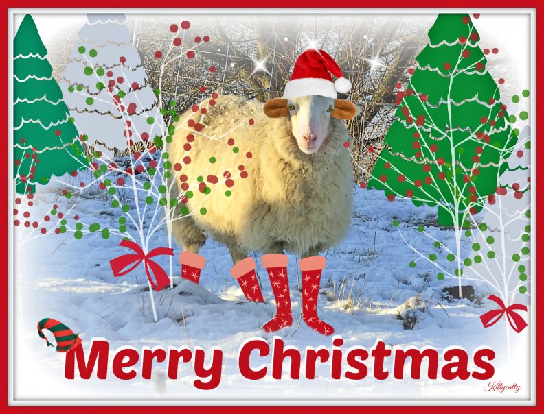 ♥ ***Christmas Sheep*** ♥