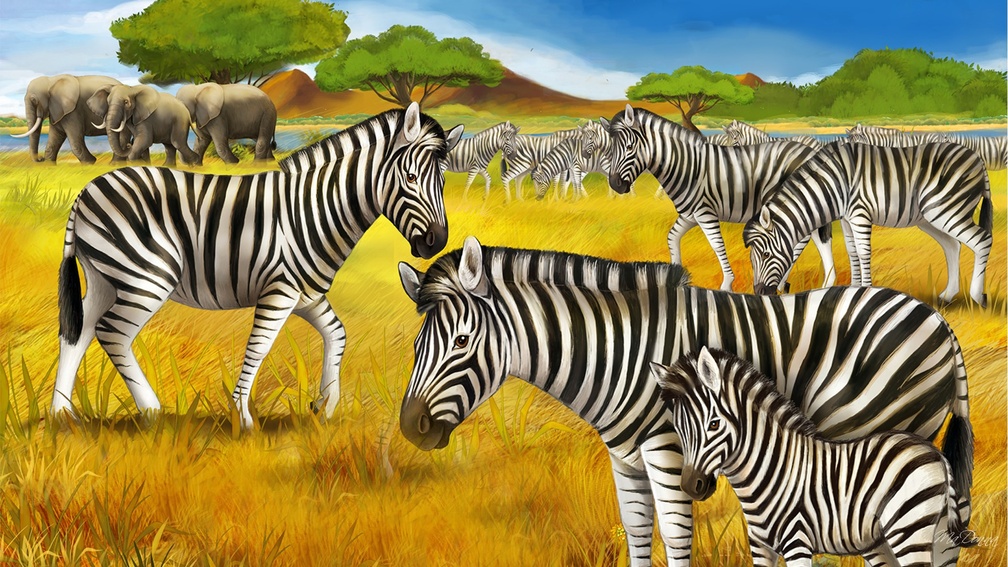 Zebras and Elephants