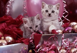 Kittens and pink Christmas
