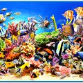 Reef Dwellers