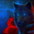 ~Wolf & Red Roses~