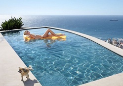 *** Funny ... dog peeing in the pool ***