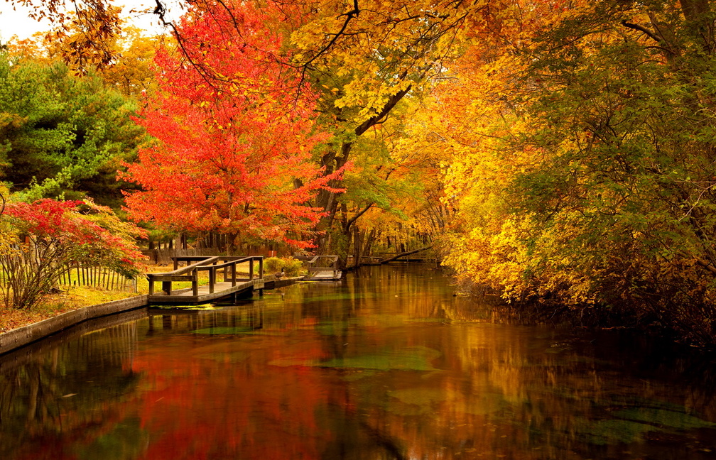 Colors of autumn