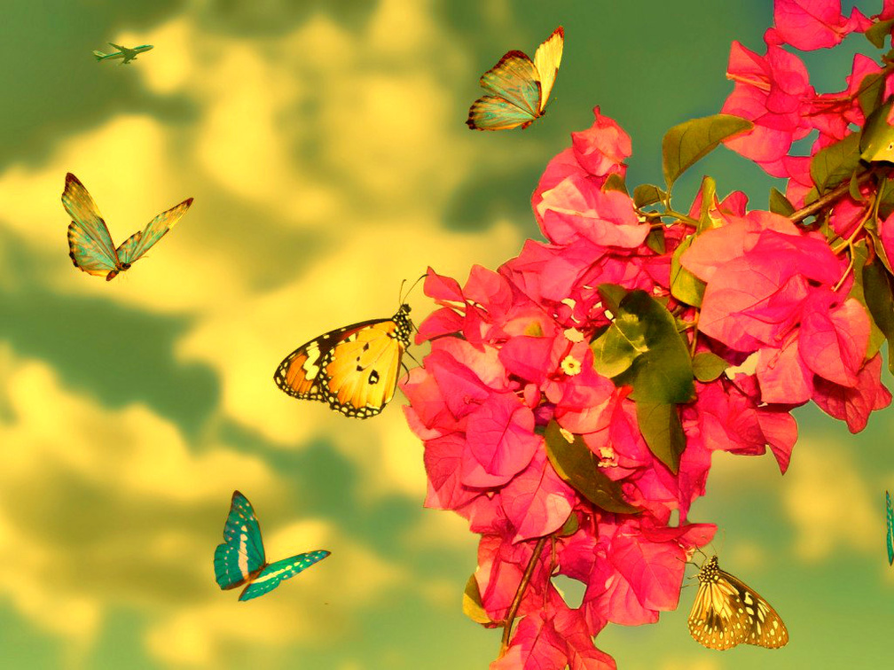 Flowers with butterflies