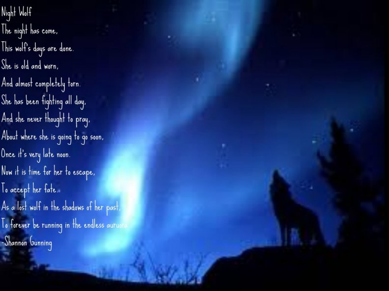 night_wolf_poem.jpg