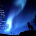 night wolf poem