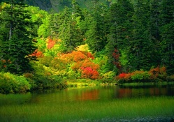 Autumn Forest and Lake