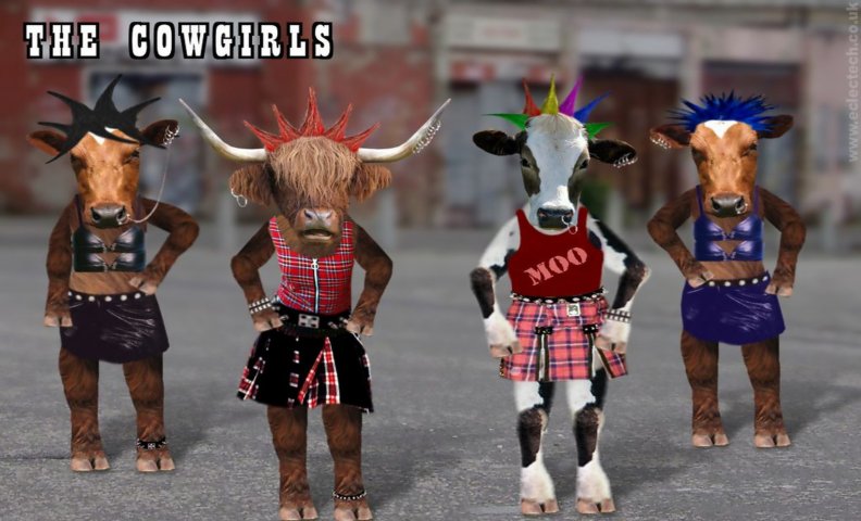 The Cow Dancers Union (hahaha)