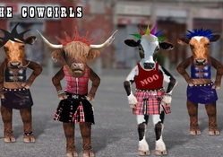 The Cow Dancers Union (hahaha)