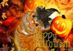 ♥ ☻☻☻ Happy Halloween Cat ☻☻☻ ♥