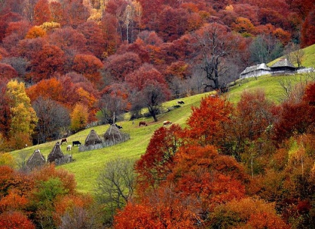 Autumn in Romania