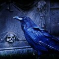 Dark Cemetery Raven!