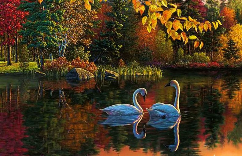 lovely_swans.jpg