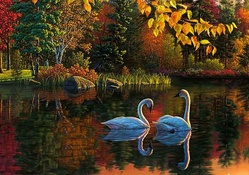Lovely Swans