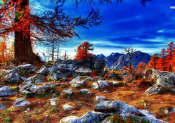 Beautiful Blue Sky over Autumn Scenery