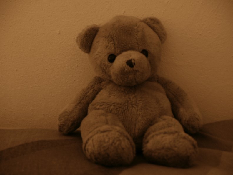 teddy.jpg