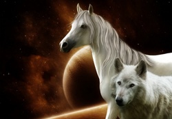 horse and wolf