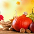'Autumn Fruits & Vegetables'