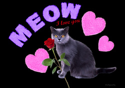 ♥ *Meow* means I love you ♥