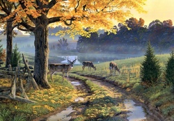 Deers on Autumn Day