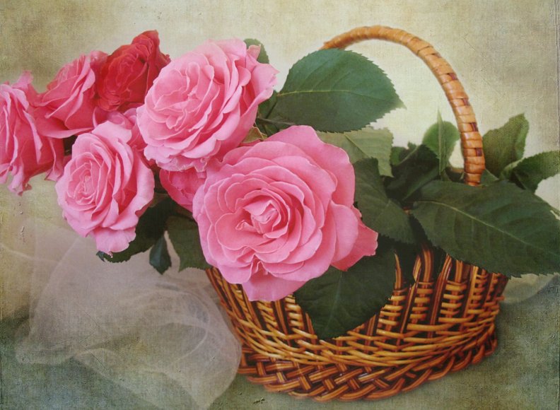 baskets_of_roses.jpg