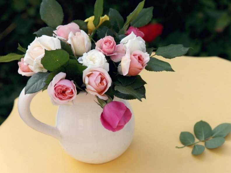 roses in a teapot
