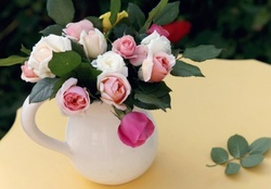 roses in a teapot