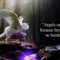 angels can fly