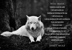 Wolf prayer