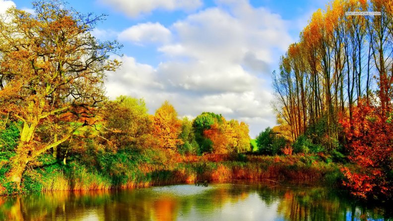 autumn_forest_lake_reflection.jpg