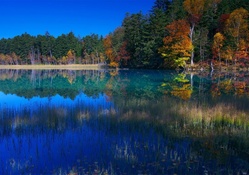 Multicolor Lake