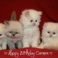 ♥ Happy Birthday Carmen ♥