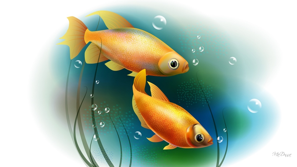 Wallpaper Water And Fish