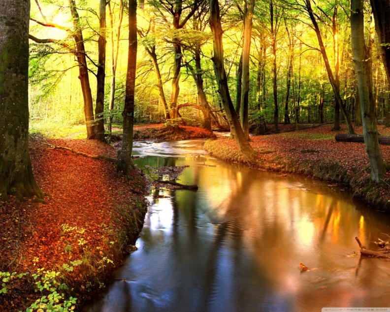 autumn_creek.jpg
