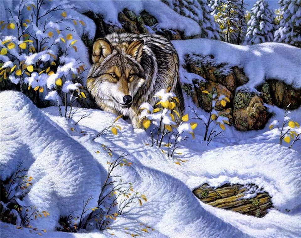 Nordic Wolf
