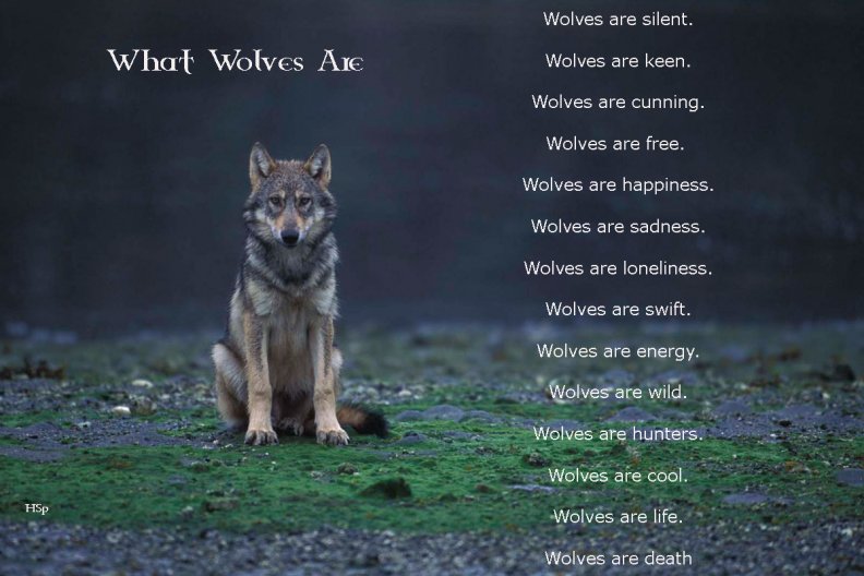 what_wolves_are.jpg