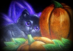 Black Kitten Halloween