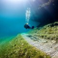 Green Lake Underwater World (3)