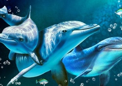 Delightful Dolphins