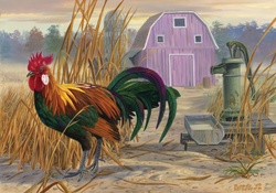 ROOSTER AT THE WELL