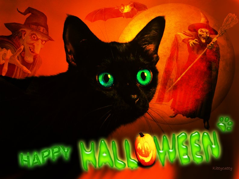 happy_halloween_cat.jpg