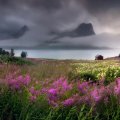 Purple with black clouds