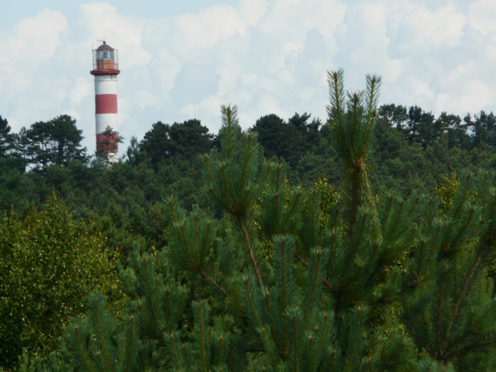 Lighthouse in landscape