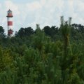 Lighthouse in landscape