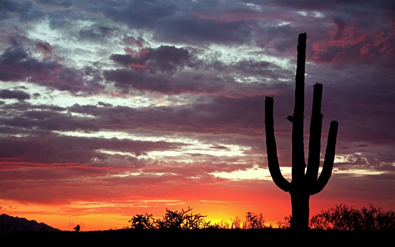 desert_sunset.jpg