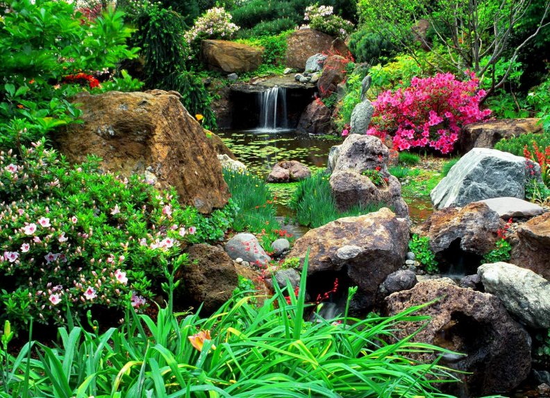 beautiful_garden.jpg