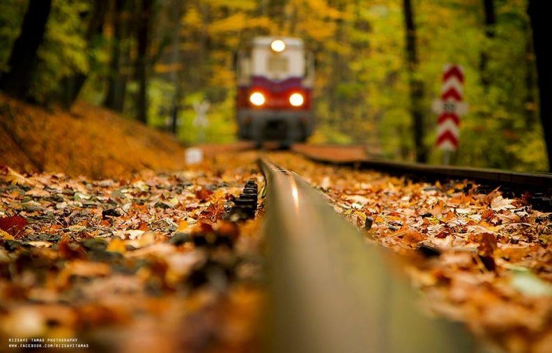 Autumn rail