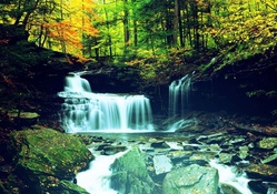 __Waterfall in Forest__